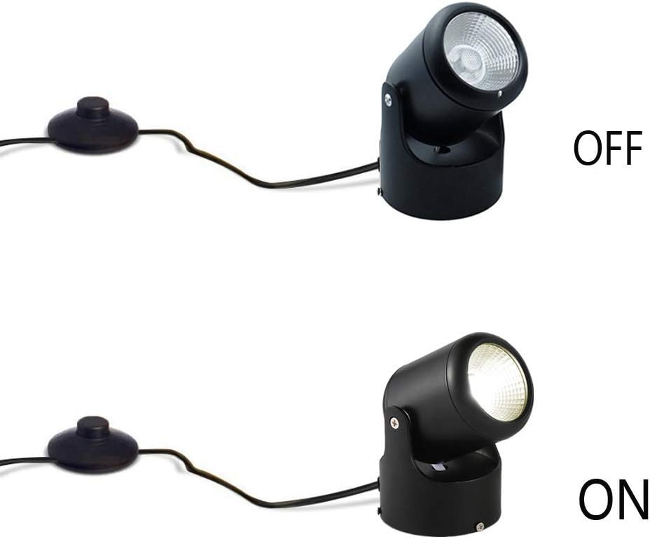 buy cool stuff