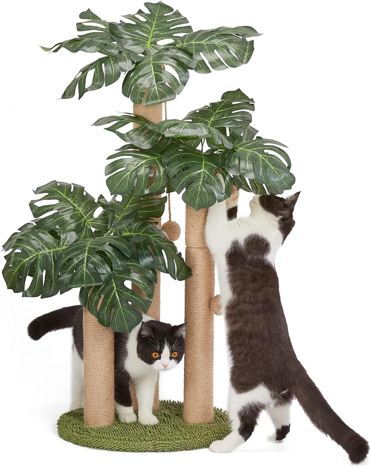 31.5Inch Cat Scratching Post,Cat Scratcher Tree with 3 Scratching Poles & 2 Interactive Dangling Balls,Cats Scratching Posts for Indoor Kitten & Adult Cats (Monstera tree)