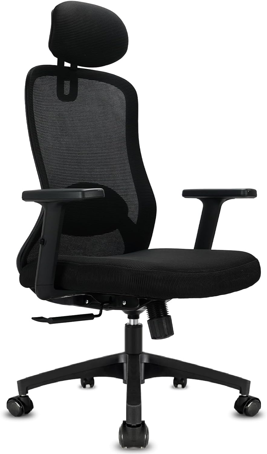 Computer Desk Chair, Lumbar Support, Ergonomic, High Back with Adjustable Headrest , Durrafy